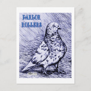 Parlour Roller Pigeon Postcard
