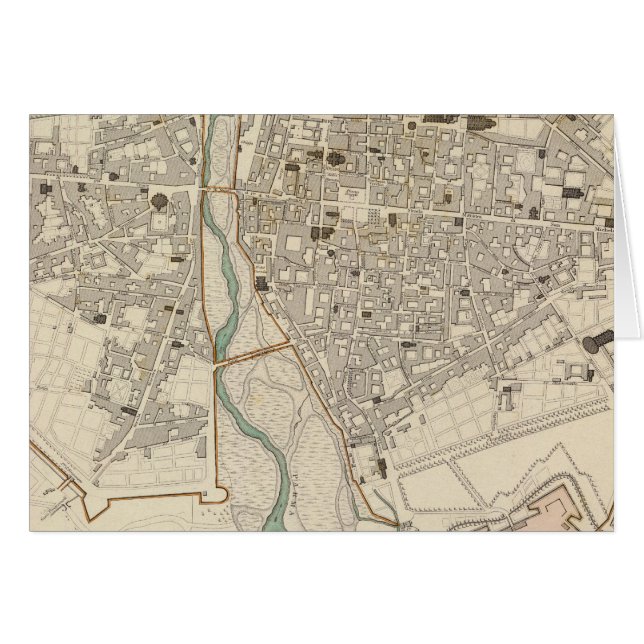 Parme (Devant horizontal)