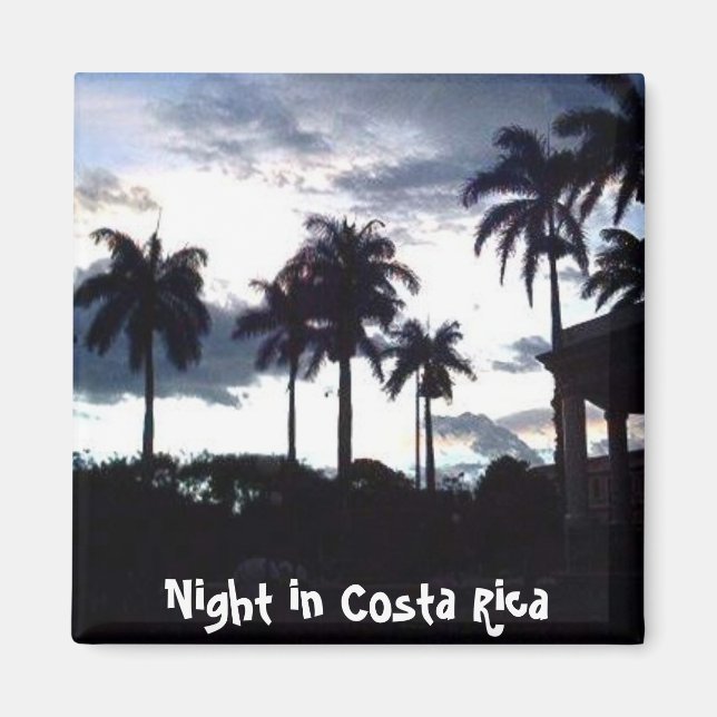 Parque Central at Night Magnet (Front)