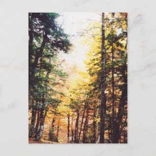 Parque Nacional Ordesa Postcard