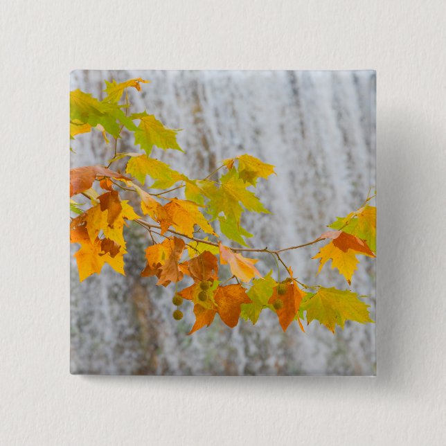 Parque Natural del Monasterio - Fall Leaves 2 Inch Square Button (Front)