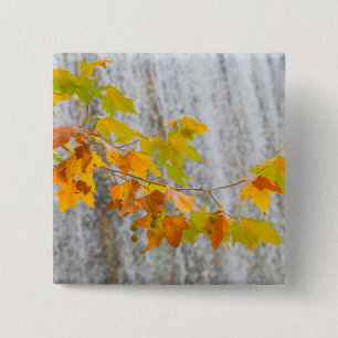 Parque Natural del Monasterio - Fall Leaves 2 Inch Square Button