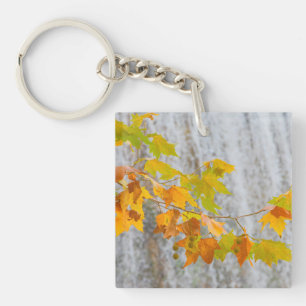 Parque Natural del Monasterio - Fall Leaves Keychain