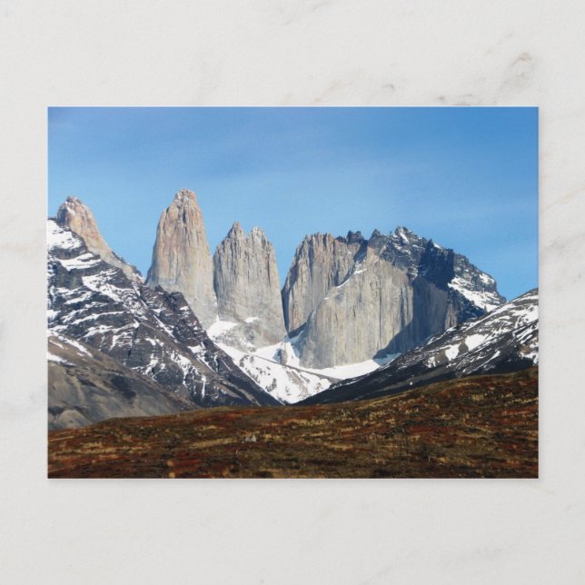 Parque Torres del Paine, Chile Postcard (Front)