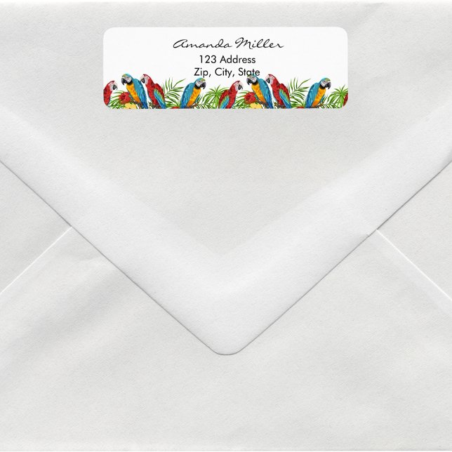 Parroquets oiseaux palmiers feuilles adresse de re (Créateur téléchargé)