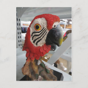 Parrort Head Postcard