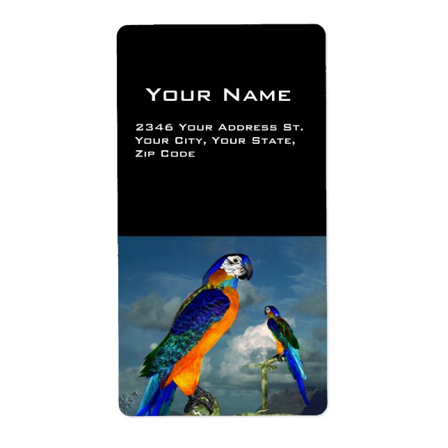 PARROS HYPER / BLEUE ARA (Devant)