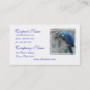 parrot-23 business card