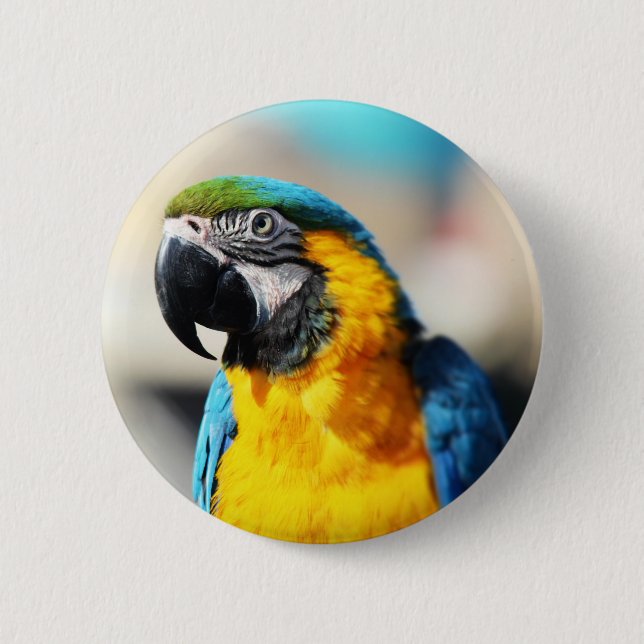 parrot 2 inch round button (Front)