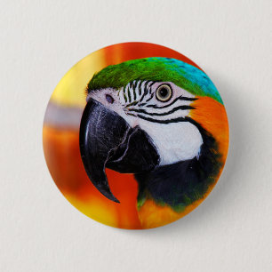 Parrot 2 Inch Round Button