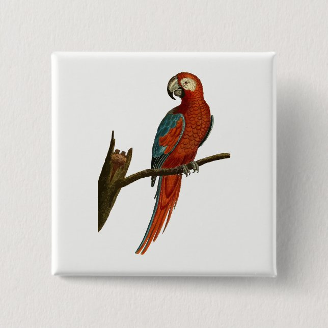 Parrot 2 Inch Square Button (Front)