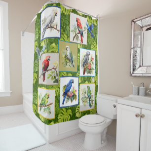 Parrot and Beautiful Exotic Bird Shower Curtain