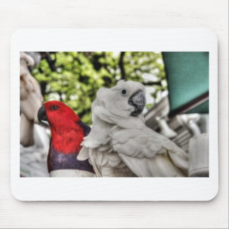 Parrot and Cockatoo Mouse Pad