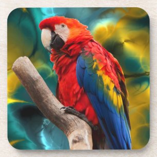 Parrot Art 1 Dessous de verre