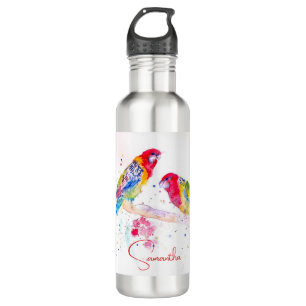 Parrot art Watercolour Painting Red Blue Colourful 710 Ml Water Bottle