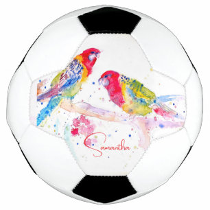 Parrot art Watercolour Painting Red Blue Colourful Soccer Ball