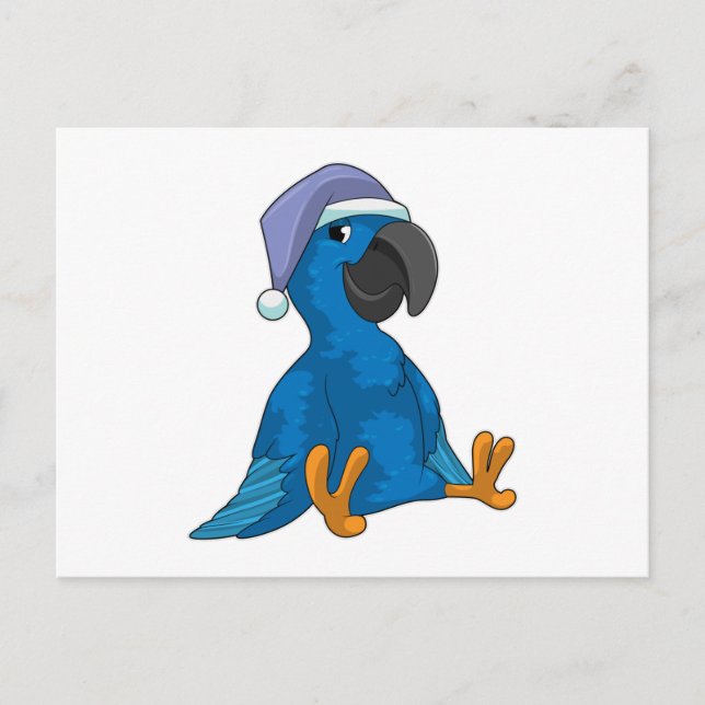 Parrot at Sleeping with Nightcap Postcard (Front)
