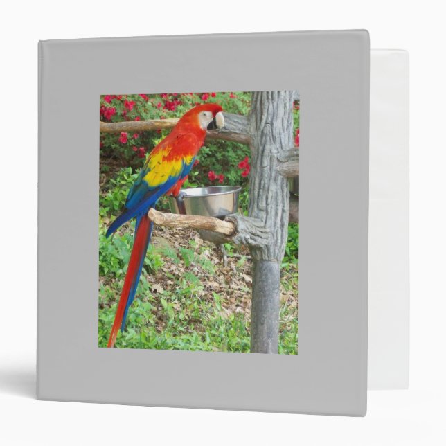 Parrot Avery Classeur (Devant/Intérieur)