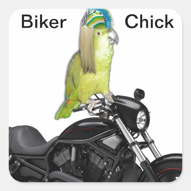 Parrot Biker Chick on Square Sticker (Front)