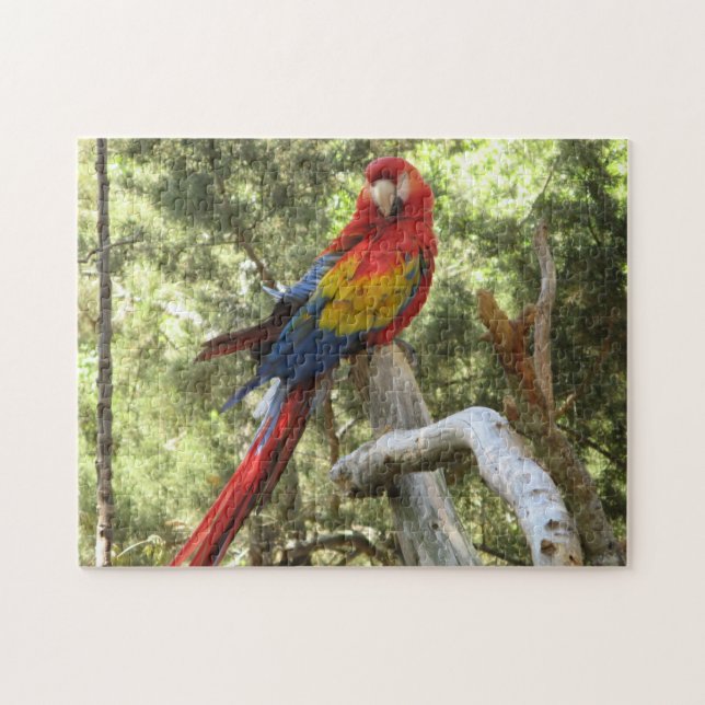 Parrot Bird Tropical Colorful Jigsaw Puzzle (Horizontal)