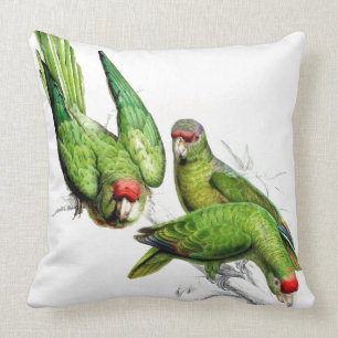 Parrot Birds Wildlife Animals Throw Pillow