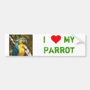 parrot bumper sticker