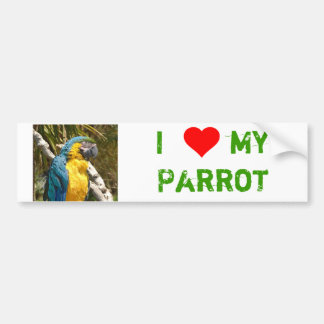 parrot bumper sticker