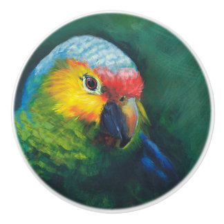 Parrot cabinet/furniture knobs