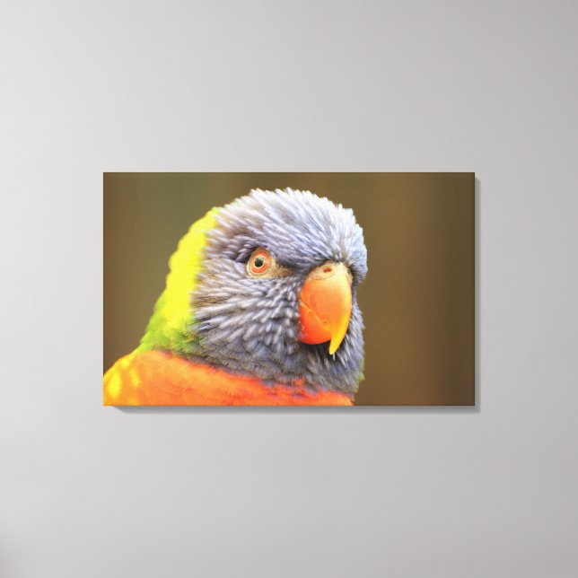 parrot canvas print (Front)