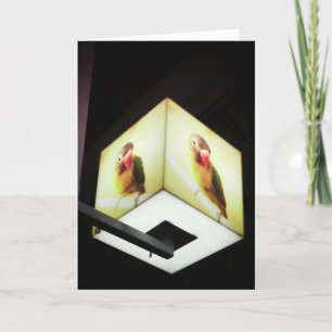 "Parrot Cash Register Light" Thank You Card