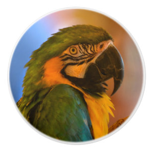Parrot Ceramic Knob