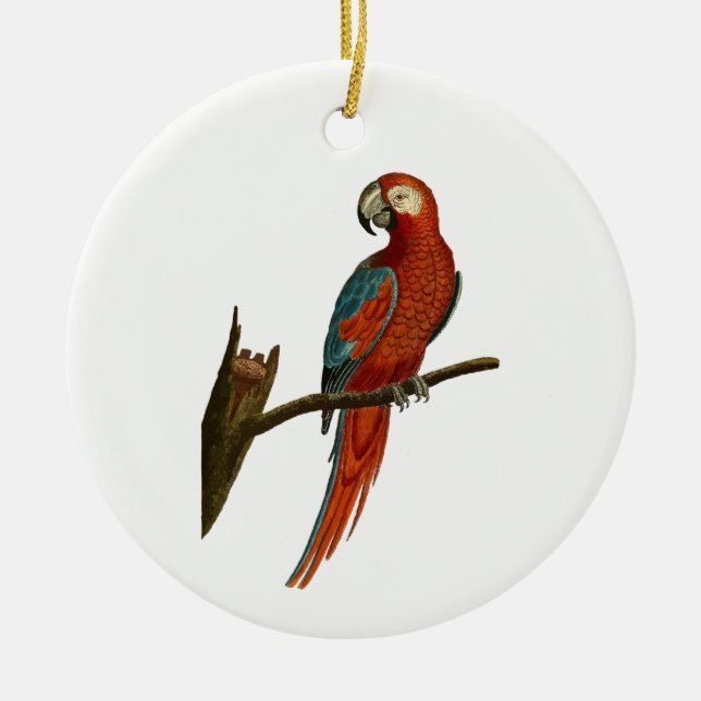 Parrot Ceramic Ornament (Front)