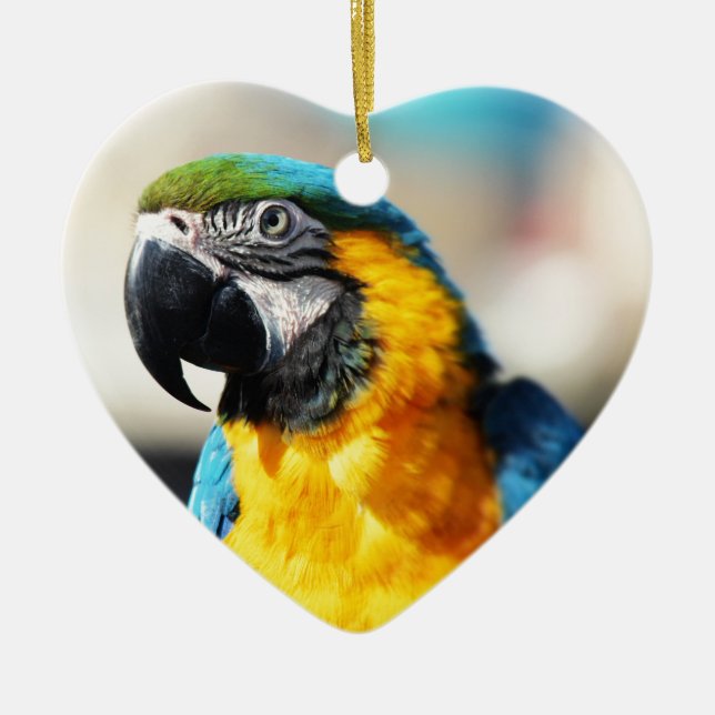 parrot ceramic ornament (Front)