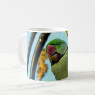 Parrot Coffee Mug