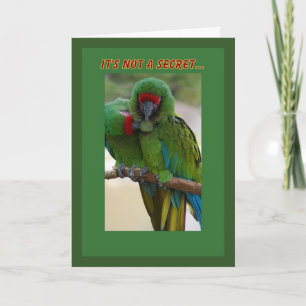 Parrot Couple Birthday Card