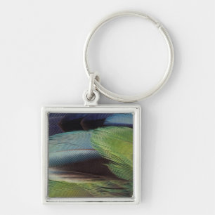 Parrot feather pattern design keychain