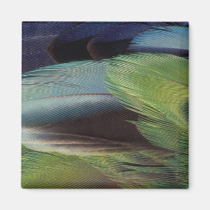 Parrot feather pattern design magnet