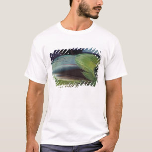 Parrot feather pattern design T-Shirt