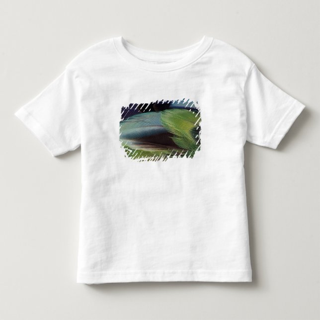 Parrot feather pattern design toddler t-shirt (Front)