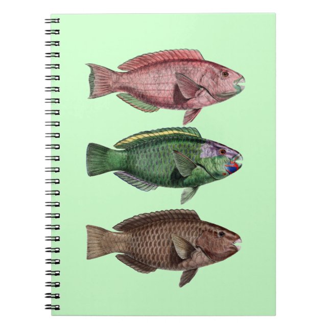 Parrot Fish Notebook (Front)