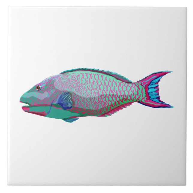 Parrot Fish Tile (Front)