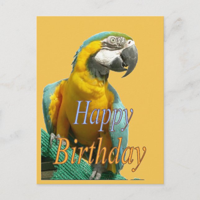 Parrot Happy Birthday Customizable Postcard (Front)