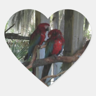 Parrot Heart Sticker