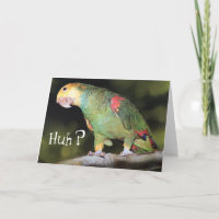 Parrot, Huh?