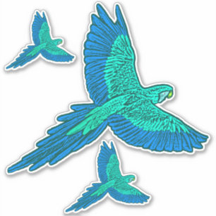 Parrot in Flight, Aqua and Cobalt Blue