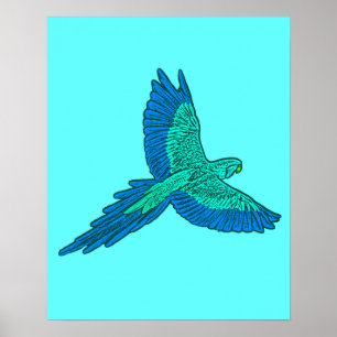 Parrot in Flight, Aqua and Cobalt Blue Poster