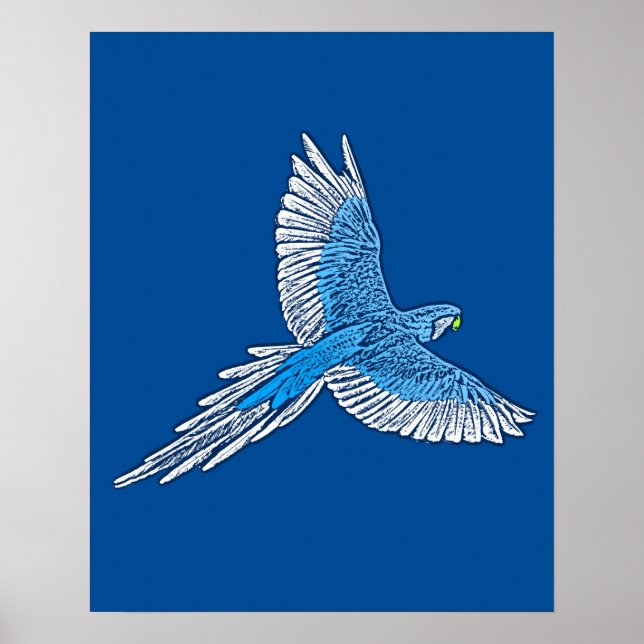Parrot in Flight, Cobalt Blue and White Poster (Front)