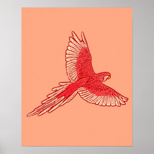 Parrot in Flight, Coral Orange and Cream Poster