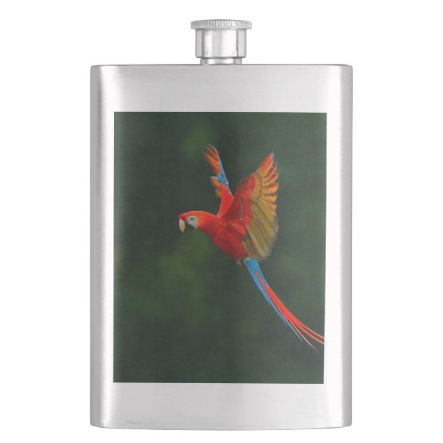 Parrot in Flight Hip Flask (Front)