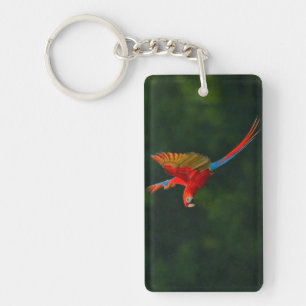Parrot in Flight Keychain